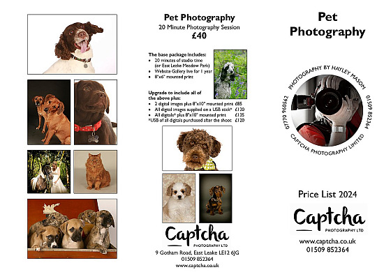 Pet Photography Price Lists