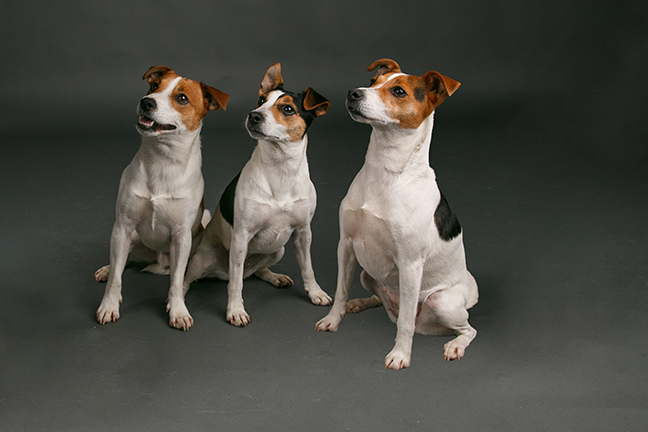 Free Studio Shoots During 2026 | Fliss2511_070_Edit.jpg