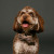 Free Studio Shoots During 2026 | Elvis2507_87_Square.jpg
