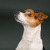 Free Studio Shoots During 2026 | Fliss2511_134.jpg