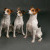 Free Studio Shoots During 2026 | Fliss2511_070_Edit.jpg