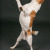 Free Studio Shoots During 2026 | Fliss2511_104.jpg