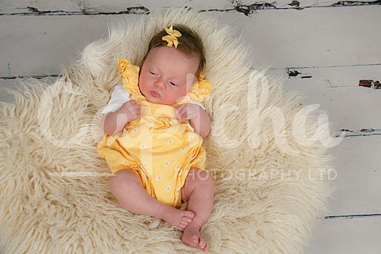Introducing Josie x